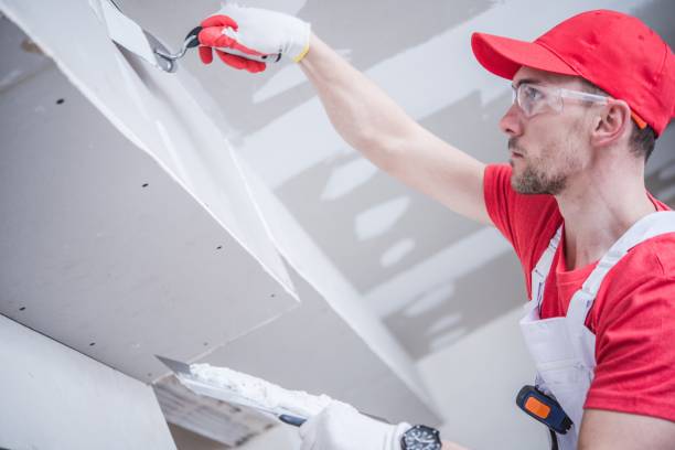 Best Water-Damaged Drywall Repair  in Vinita Park, MO